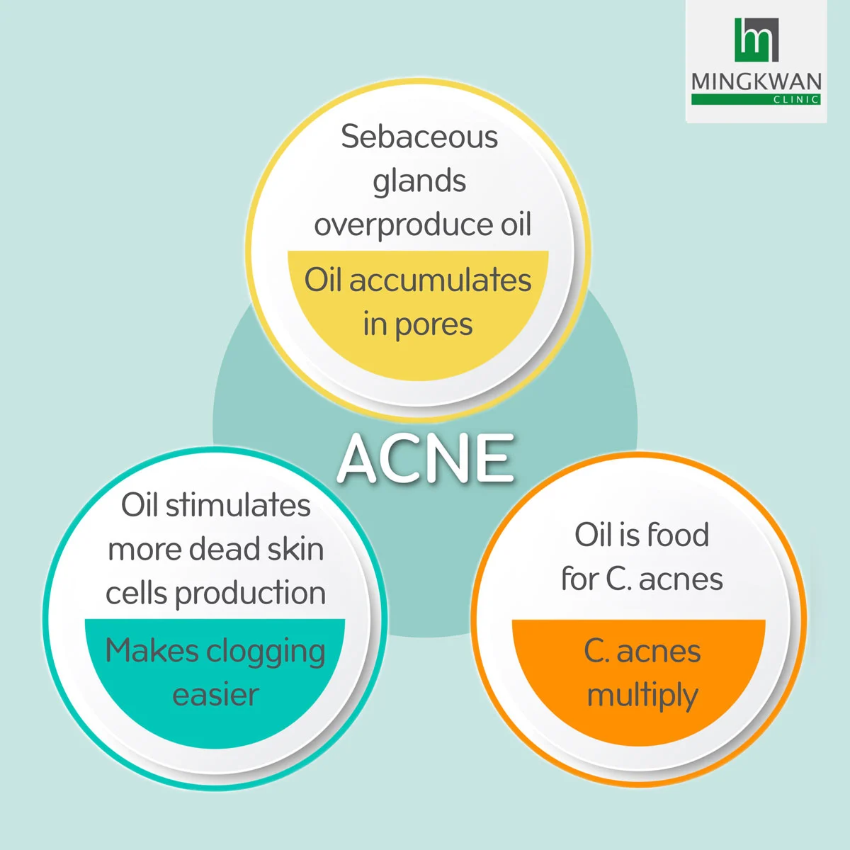Mechanism of Acne Formation